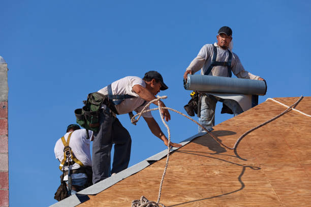 Best Local Roofing Companies  in Eden, TX